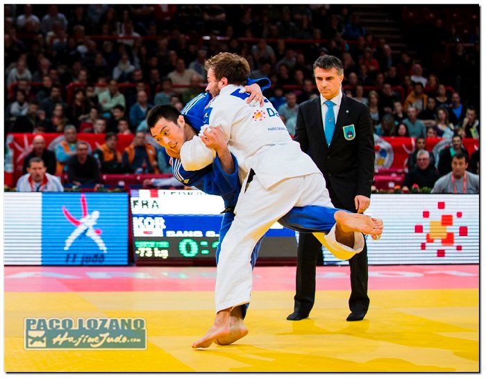 Paris 2014 by P.Lozano cat -73 kg (146)